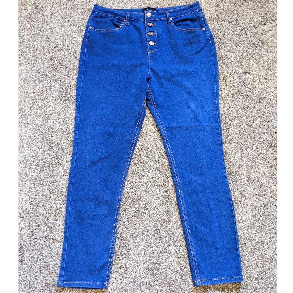 Cherry Blossom High Waist Skinny Jeans Size 17